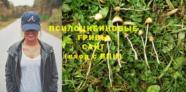 трава Армянск