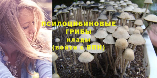 трава Армянск