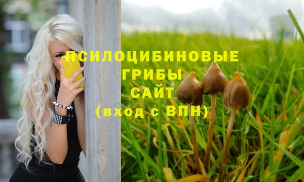 индика Баксан