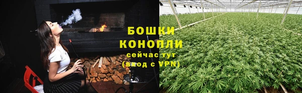 индика Баксан