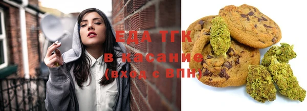 индика Баксан