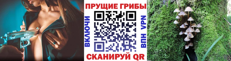даркнет сайт  OMG как войти  Галлюциногенные грибы Cubensis  Новоаннинский 